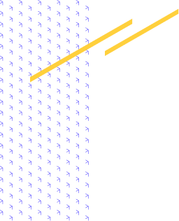 Decorative lines to separate the sections