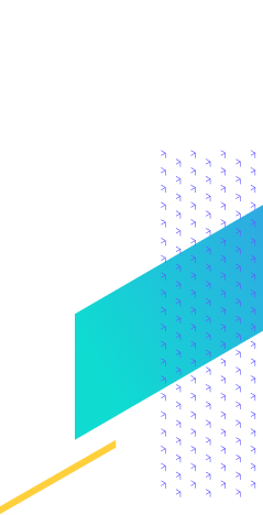 Decorative lines to separate the sections